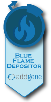 blue flame award badge