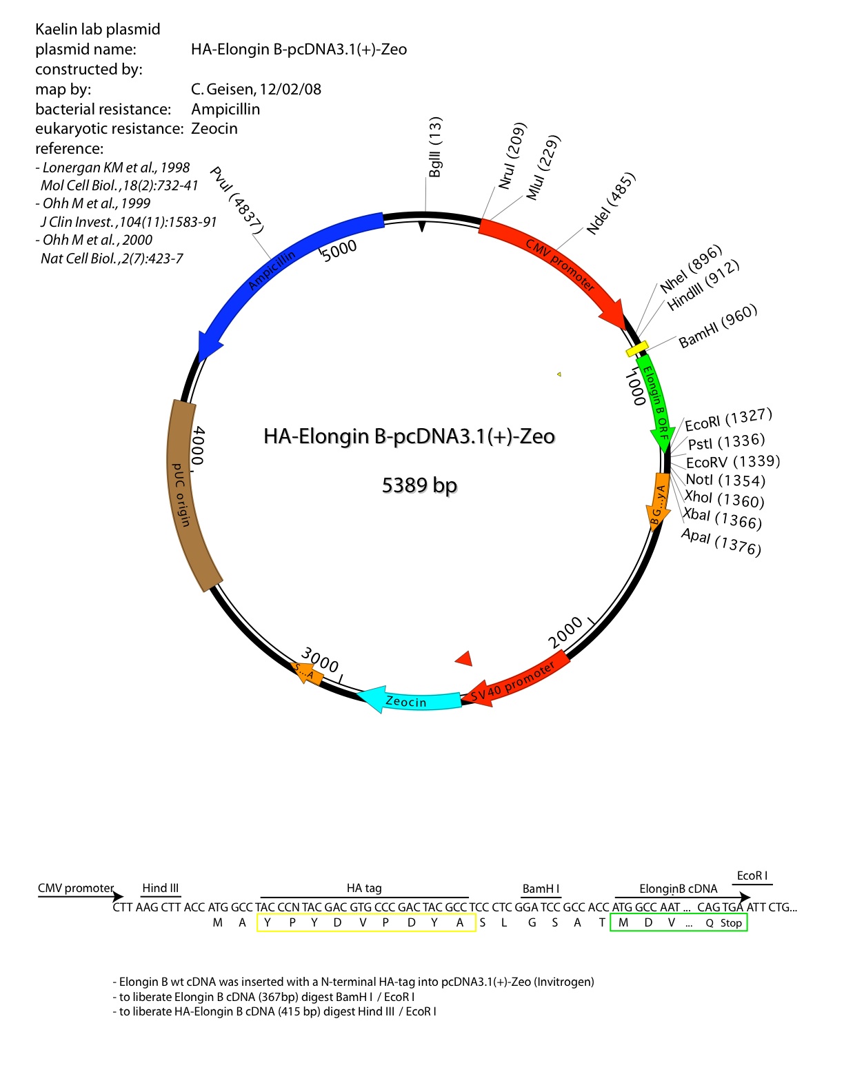 Addgene: HA-Elongin B-pcDNA3.1(+)-Zeo
